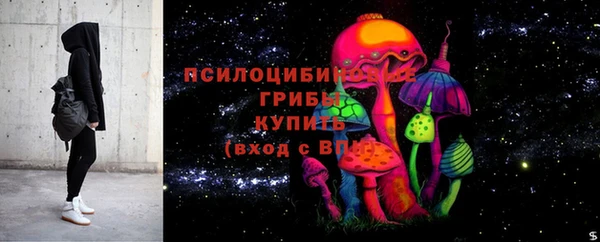 скорость Медвежьегорск
