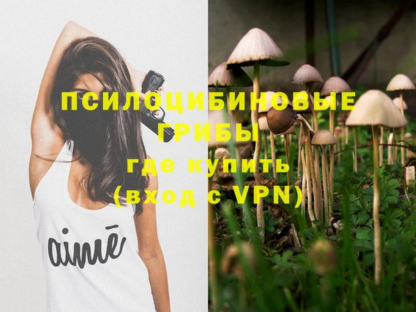 скорость Медвежьегорск