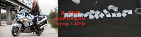 эйфоретик Магадан