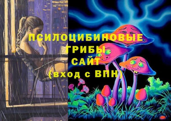 ПСИЛОЦИБИНОВЫЕ ГРИБЫ Медногорск