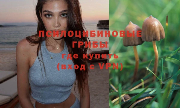 эйфоретик Магадан