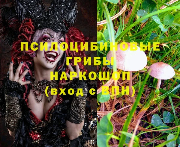таблы Магас