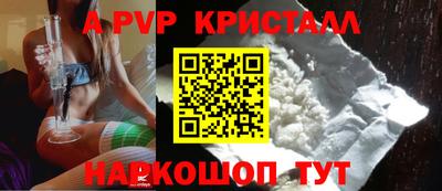 стафф Будённовск