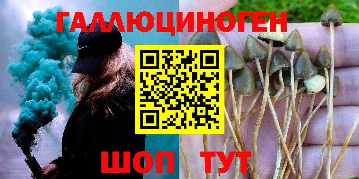 Псилоцибиновые грибы мухоморы Семилуки