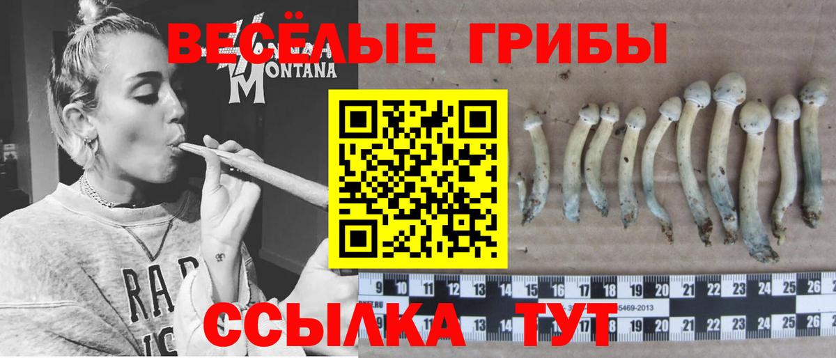 Семилуки  Галлюциногенные грибы MAGIC MUSHROOMS  Вход с VPN 